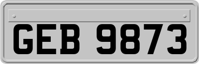 GEB9873