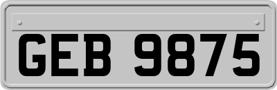 GEB9875