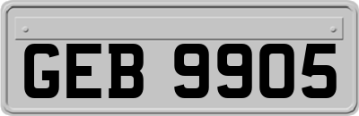 GEB9905