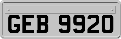 GEB9920