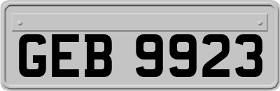 GEB9923
