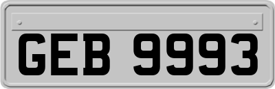 GEB9993
