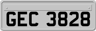 GEC3828