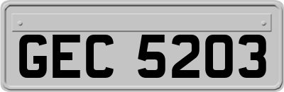 GEC5203