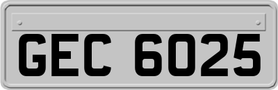 GEC6025