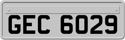 GEC6029