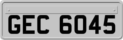 GEC6045
