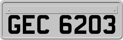 GEC6203