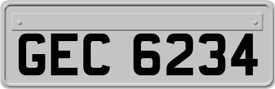 GEC6234