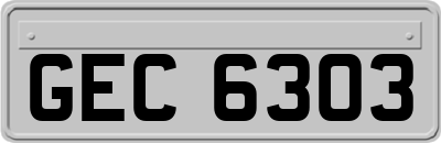 GEC6303