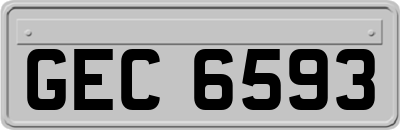 GEC6593