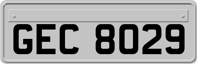 GEC8029