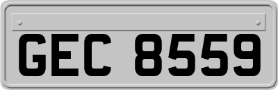 GEC8559
