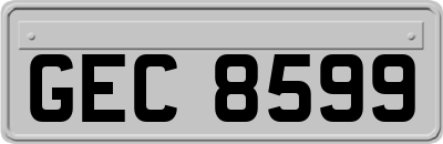 GEC8599