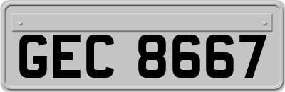 GEC8667