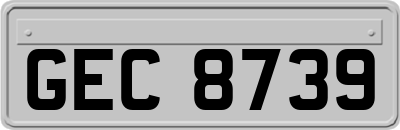 GEC8739