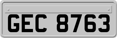 GEC8763