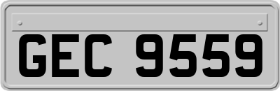 GEC9559