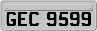 GEC9599