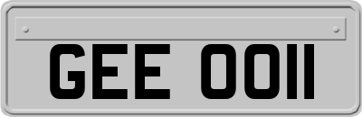 GEE0011