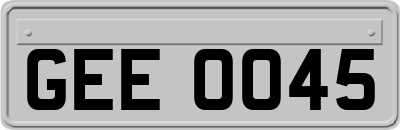 GEE0045
