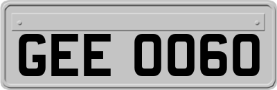 GEE0060