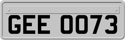 GEE0073
