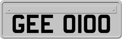 GEE0100