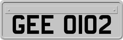 GEE0102
