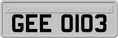 GEE0103