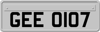 GEE0107