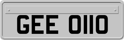 GEE0110