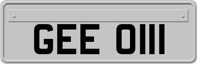 GEE0111