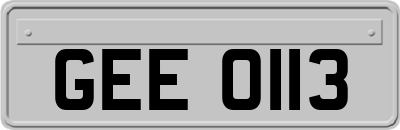 GEE0113