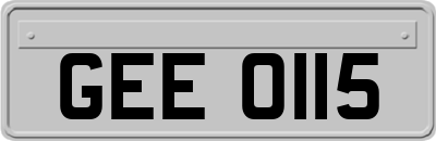 GEE0115