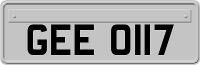 GEE0117