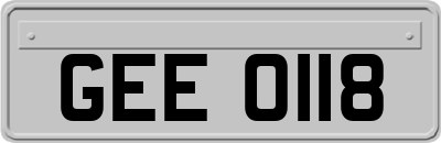 GEE0118
