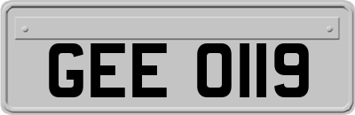 GEE0119