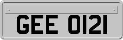 GEE0121