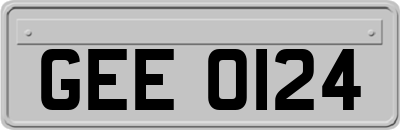 GEE0124