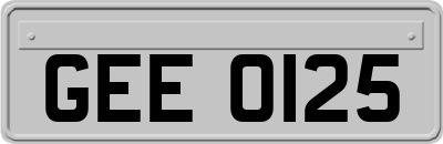 GEE0125