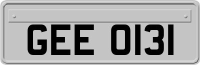 GEE0131