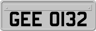 GEE0132