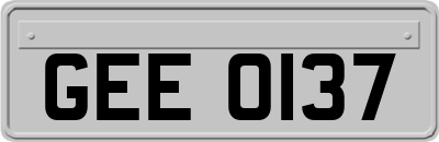 GEE0137