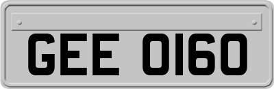 GEE0160