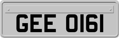 GEE0161