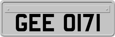 GEE0171