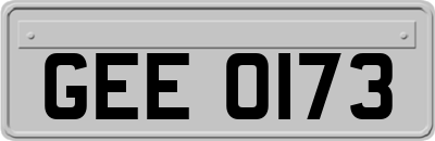 GEE0173