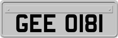 GEE0181