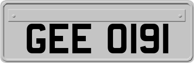 GEE0191